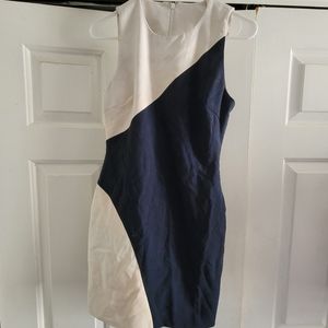 Elizabeth and James Colorblock Sheath Dress